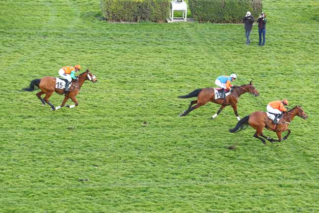Photo d'arrivée de la course pmu PRIX BOUGIE à AUTEUIL le Mardi 26 février 2019