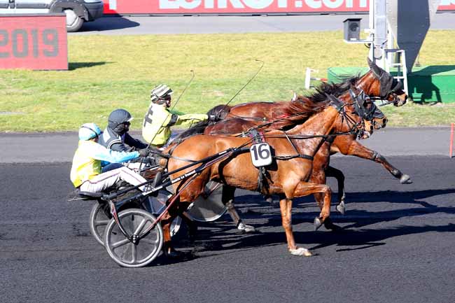 Photo d'arrivée de la course pmu PRIX DE SEDAN à PARIS-VINCENNES le Mercredi 27 février 2019