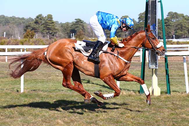 Photo d'arrivée de la course pmu PRIX DU CANTON DE FONTAINEBLEAU à FONTAINEBLEAU le Mercredi 27 février 2019