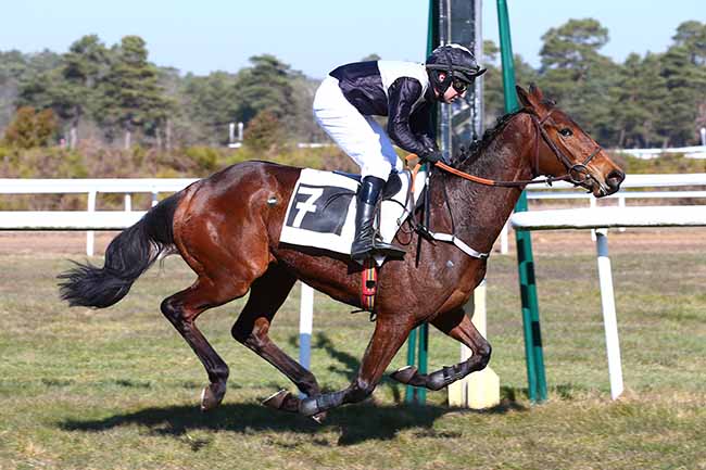 Photo d'arrivée de la course pmu PRIX DES DAGUETS à FONTAINEBLEAU le Mercredi 27 février 2019