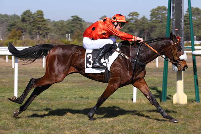 Photo d'arrivée de la course pmu PRIX JACQUES GELIOT à FONTAINEBLEAU le Mercredi 27 février 2019