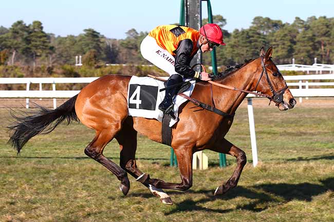 Photo d'arrivée de la course pmu PRIX DES HERONNIERES à FONTAINEBLEAU le Mercredi 27 février 2019