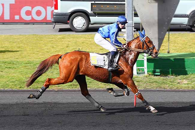 Photo d'arrivée de la course pmu PRIX FELICIEN GAUVREAU à PARIS-VINCENNES le Jeudi 28 février 2019