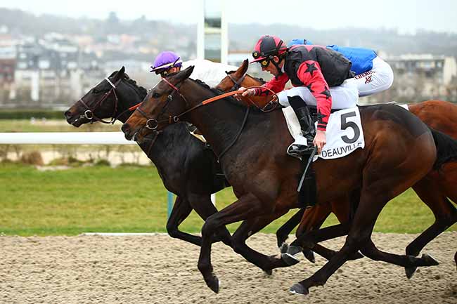 Photo d'arrivée de la course pmu PRIX DU VAUDREUIL à DEAUVILLE le Vendredi 1 mars 2019