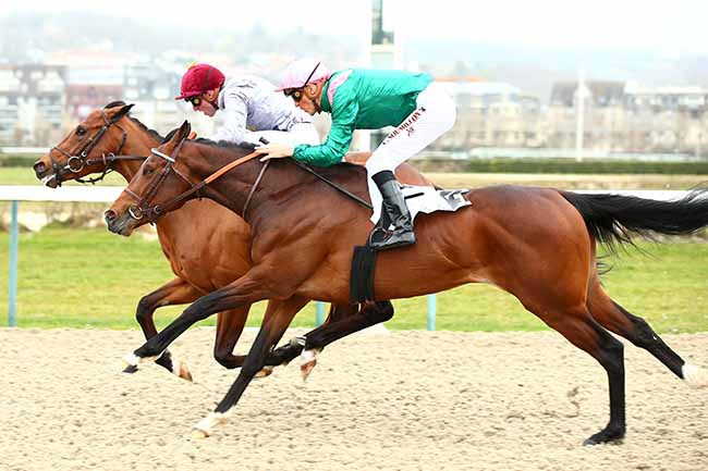 Photo d'arrivée de la course pmu PRIX D'AURIGNY à DEAUVILLE le Vendredi 1 mars 2019
