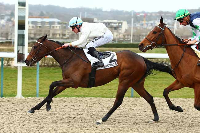 Photo d'arrivée de la course pmu PRIX DU VAL-DE-REUIL à DEAUVILLE le Vendredi 1 mars 2019