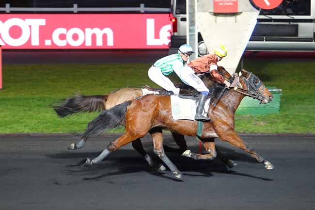 Photo d'arrivée de la course pmu PRIX D'ALENCON à PARIS-VINCENNES le Samedi 2 mars 2019
