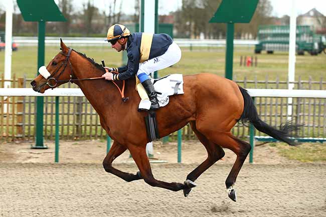 Photo d'arrivée de la course pmu PRIX DE CARENTAN à CHANTILLY le Samedi 2 mars 2019