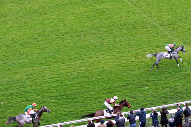 Photo d'arrivée de la course pmu PRIX JUIGNE à AUTEUIL le Dimanche 3 mars 2019