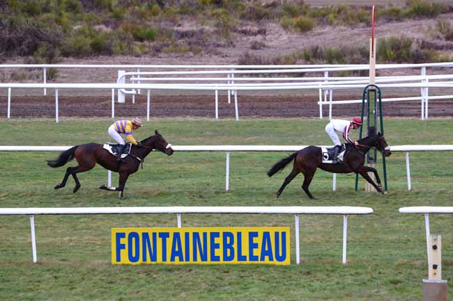 Photo d'arrivée de la course pmu PRIX MASTER BOB à FONTAINEBLEAU le Lundi 4 mars 2019