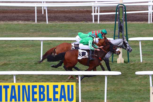 Photo d'arrivée de la course pmu PRIX DE LA SOMME à FONTAINEBLEAU le Lundi 4 mars 2019