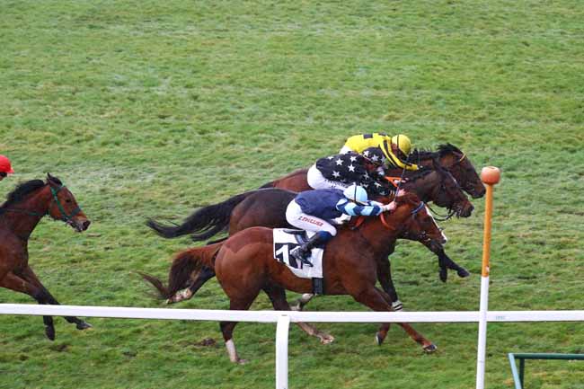 Photo d'arrivée de la course pmu PRIX DE L'ESSONNE à FONTAINEBLEAU le Jeudi 7 mars 2019