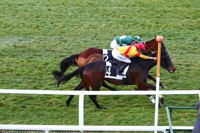 Photo d'arrivée de la course pmu PRIX GEORGES DERCOURT à FONTAINEBLEAU le Jeudi 7 mars 2019