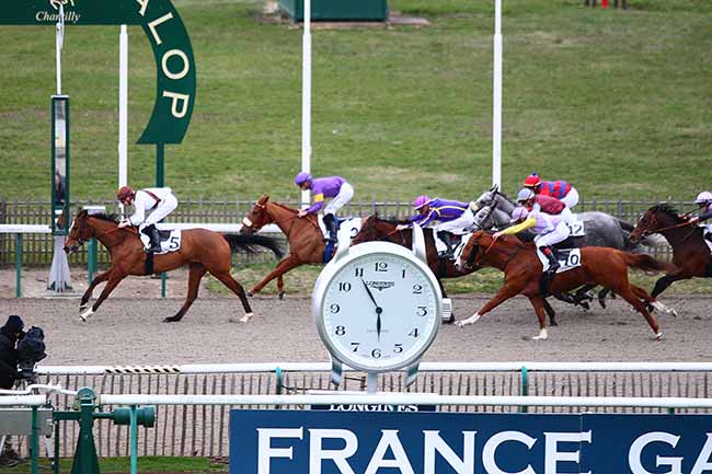 Photo d'arrivée de la course pmu PRIX DES ALLEES CAVALIERES à CHANTILLY le Vendredi 8 mars 2019