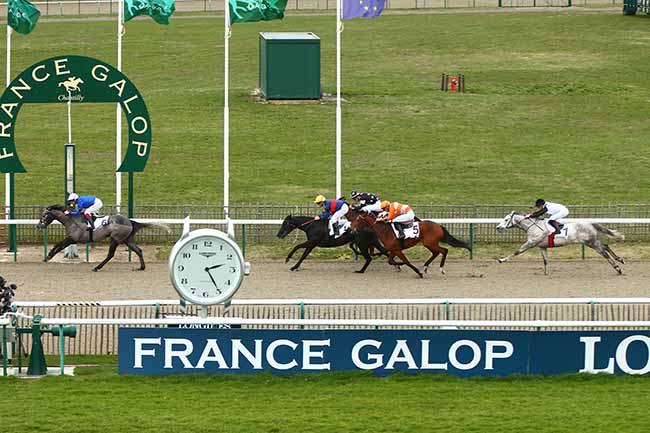 Photo d'arrivée de la course pmu PRIX DE LA QUEUE DU RENARD à CHANTILLY le Mardi 12 mars 2019