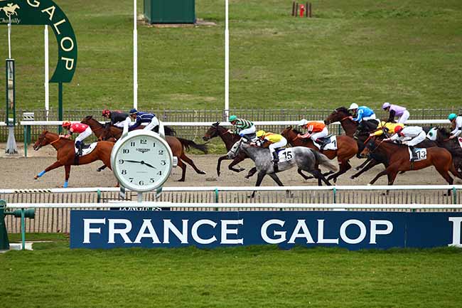 Photo d'arrivée de la course pmu PRIX JANUS à CHANTILLY le Mardi 12 mars 2019