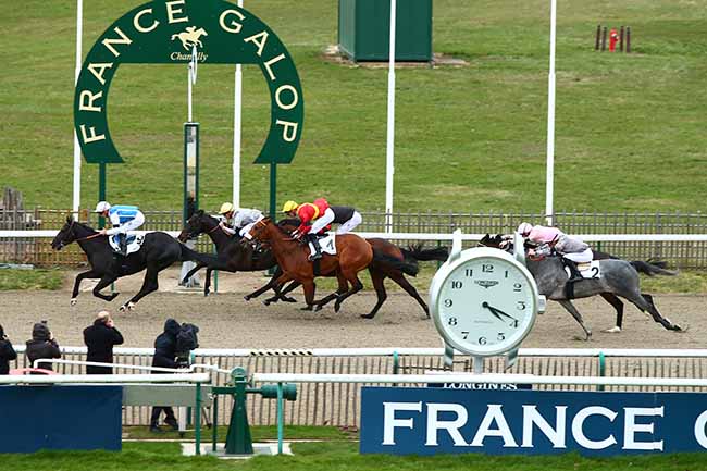 Photo d'arrivée de la course pmu PRIX TANDEM à CHANTILLY le Mardi 12 mars 2019