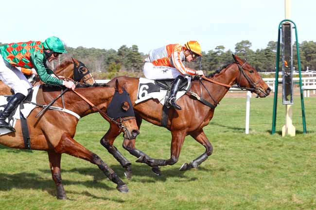 Photo d'arrivée de la course pmu PRIX DE NEMOURS à FONTAINEBLEAU le Mardi 12 mars 2019
