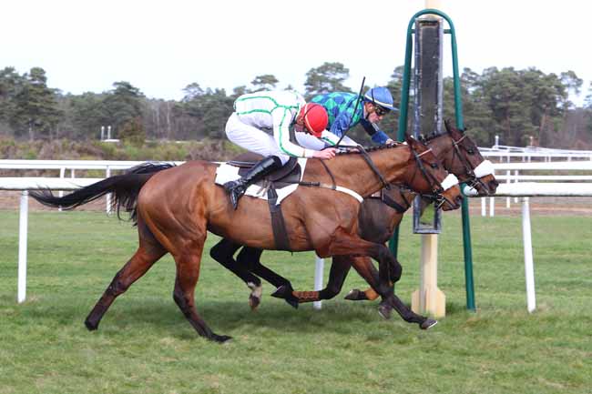 Photo d'arrivée de la course pmu PRIX DE MONTIGNY-SUR-LOING à FONTAINEBLEAU le Mardi 12 mars 2019