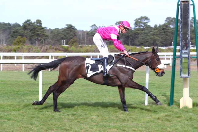 Photo d'arrivée de la course pmu PRIX DE PROVINS à FONTAINEBLEAU le Mardi 12 mars 2019