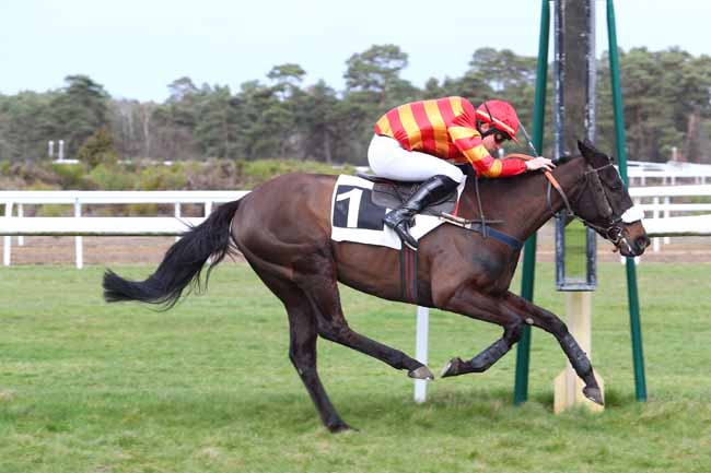 Photo d'arrivée de la course pmu PRIX D'ARBONNE-LA-FORET à FONTAINEBLEAU le Mardi 12 mars 2019