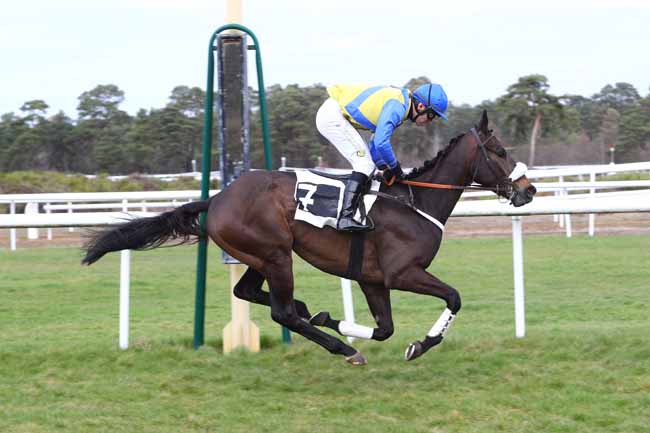 Photo d'arrivée de la course pmu PRIX DE SERMAISE à FONTAINEBLEAU le Mardi 12 mars 2019