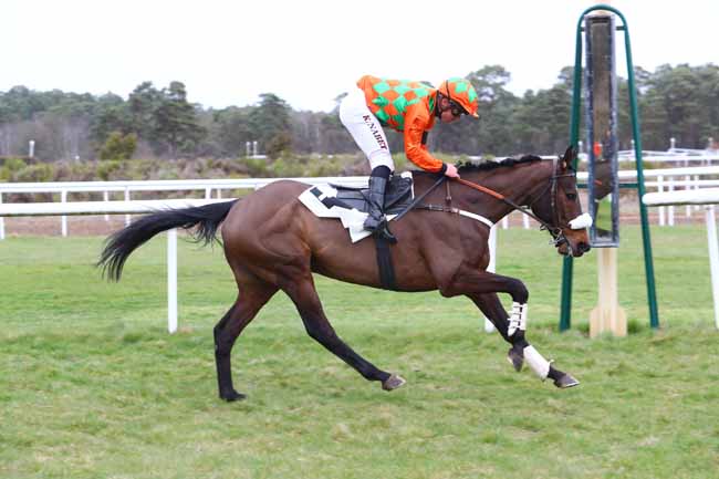 Photo d'arrivée de la course pmu PRIX DIX CORS ROYAL à FONTAINEBLEAU le Mardi 12 mars 2019