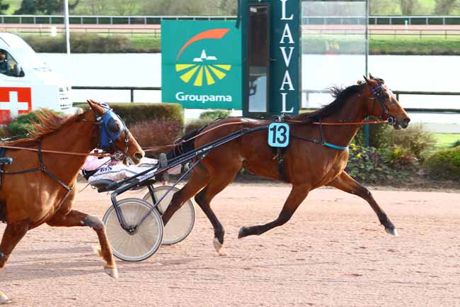 Photo d'arrivée de la course pmu PRIX MAYENNE TOURISME à LAVAL le Mercredi 13 mars 2019