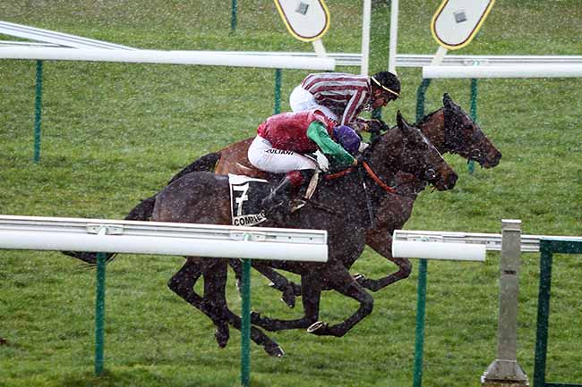 Photo d'arrivée de la course pmu PRIX DU MONT CENIS à COMPIEGNE le Mercredi 13 mars 2019