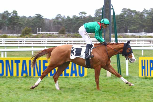 Photo d'arrivée de la course pmu PRIX DES BARNOLETS à FONTAINEBLEAU le Vendredi 15 mars 2019