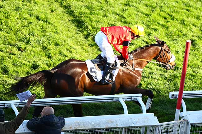 Photo d'arrivée de la course pmu PRIX D'INDY à AUTEUIL le Samedi 16 mars 2019