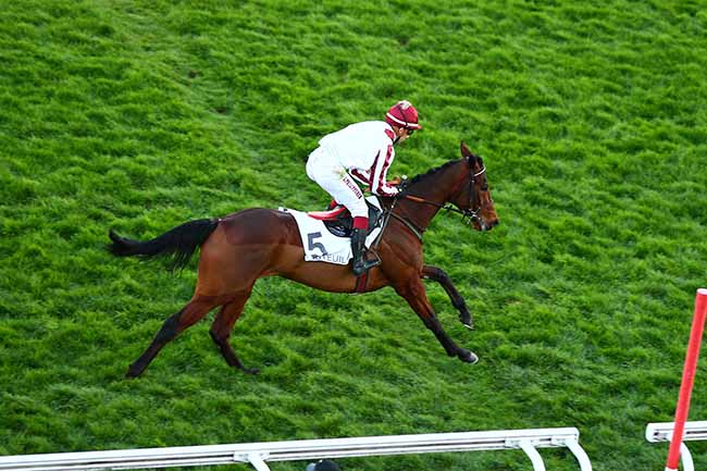 Photo d'arrivée de la course pmu PRIX SAMARITAIN à AUTEUIL le Samedi 16 mars 2019