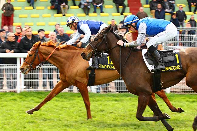 Photo d'arrivée de la course pmu PRIX DE PICARDIE à COMPIEGNE le Lundi 18 mars 2019