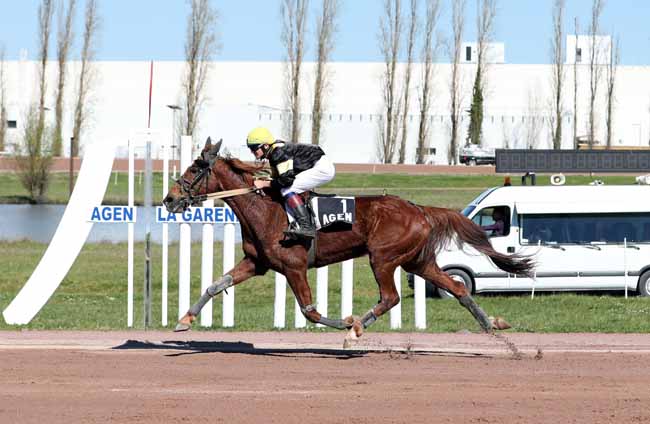 Photo d'arrivée de la course pmu PRIX DU CONSEIL DEPARTEMENTAL DE LOT-ET-GARONNE à AGEN LE PASSAGE le Mercredi 20 mars 2019