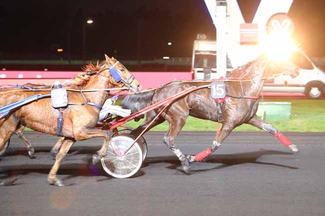 Photo d'arrivée de la course pmu PRIX ENCELADUS à PARIS-VINCENNES le Vendredi 22 mars 2019