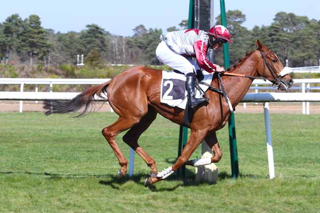 Photo d'arrivée de la course pmu PRIX COLONEL LAPADU-HARGUES à FONTAINEBLEAU le Vendredi 22 mars 2019