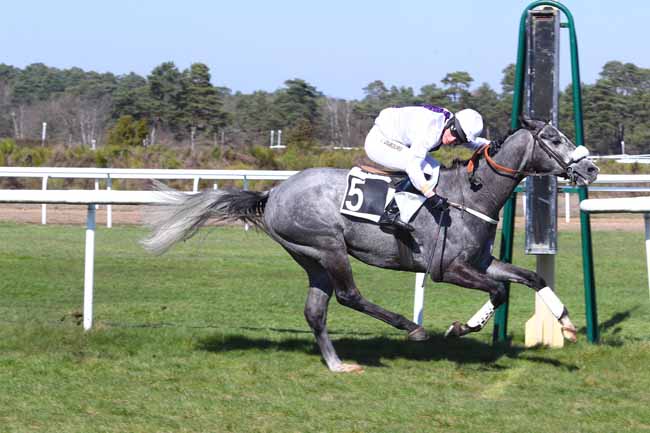 Photo d'arrivée de la course pmu PRIX DES BRUYERES à FONTAINEBLEAU le Vendredi 22 mars 2019