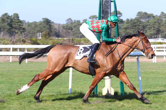 Photo d'arrivée de la course pmu PRIX DE BARBIZON à FONTAINEBLEAU le Vendredi 22 mars 2019