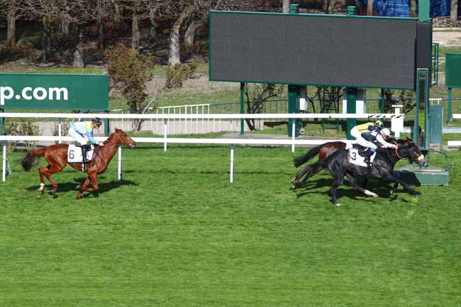 Photo d'arrivée de la course pmu PRIX FRANCOIS MATHET à SAINT-CLOUD le Mardi 26 mars 2019