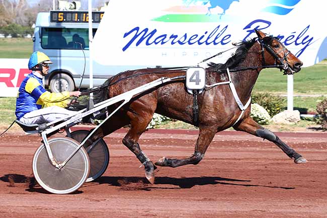 Photo d'arrivée de la course pmu PRIX DE CAGNES-SUR-MER à MARSEILLE-BORELY le Mercredi 27 mars 2019
