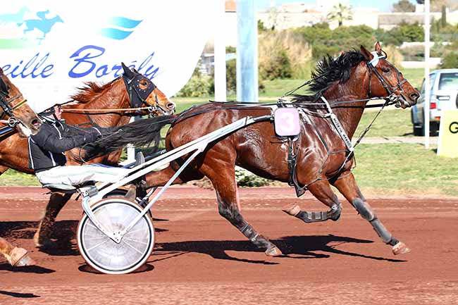 Photo d'arrivée de la course pmu PRIX DU CHATEAU D'IF - ST MICHEL DE MARSE à MARSEILLE-BORELY le Mercredi 27 mars 2019