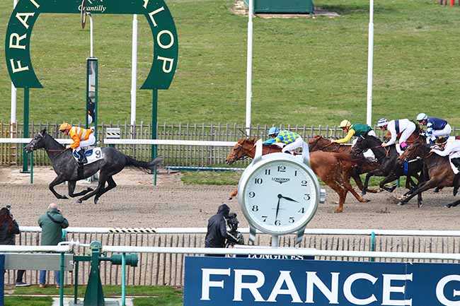 Photo d'arrivée de la course pmu PRIX DU CARREFOUR DU DUC D'ENGHIEN à CHANTILLY le Jeudi 28 mars 2019