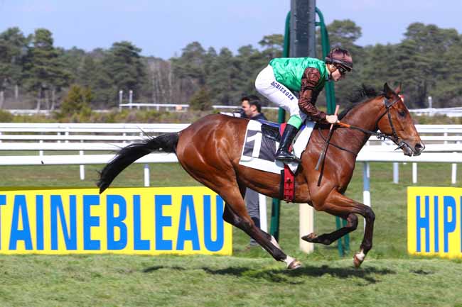 Photo d'arrivée de la course pmu PRIX DES HETRES à FONTAINEBLEAU le Vendredi 29 mars 2019