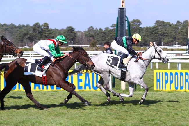 Photo d'arrivée de la course pmu PRIX DES ERABLES à FONTAINEBLEAU le Vendredi 29 mars 2019