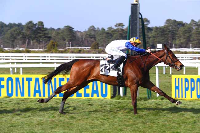 Photo d'arrivée de la course pmu PRIX DE MORET-SUR-LOING à FONTAINEBLEAU le Vendredi 29 mars 2019
