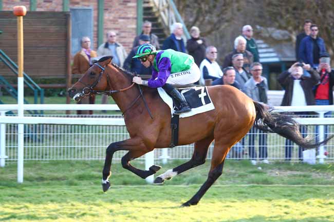 Photo d'arrivée de la course pmu PRIX COR DE CHASSE à FONTAINEBLEAU le Vendredi 29 mars 2019