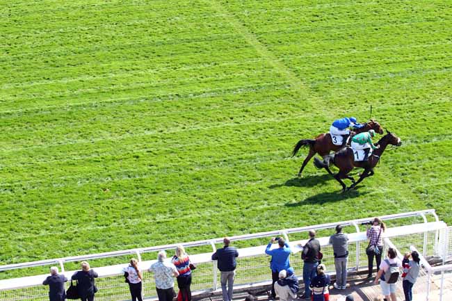 Photo d'arrivée de la course pmu PRIX GEOGRAPHIE à AUTEUIL le Dimanche 31 mars 2019