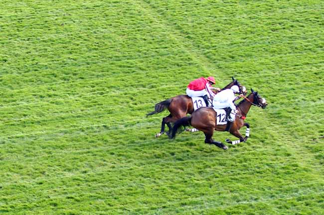 Photo d'arrivée de la course pmu PRIX GENERAL DE ROUGEMONT à AUTEUIL le Dimanche 31 mars 2019