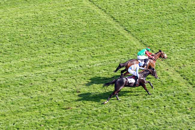 Photo d'arrivée de la course pmu PRIX AIR LANDAIS à AUTEUIL le Dimanche 31 mars 2019