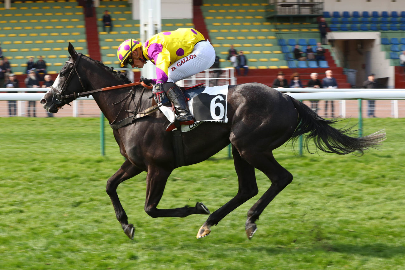 Photo d'arrivée de la course pmu PRIX DE DINARD à COMPIEGNE le Mardi 2 avril 2019